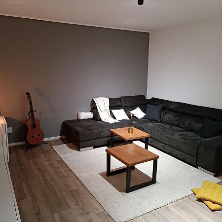 Stylish 1-Bedroom Flat With Beautiful Terrace , For A Cosy Retreat Strasbourg Kültér fotó