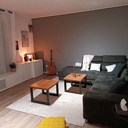 Stylish 1-Bedroom Flat With Beautiful Terrace , For A Cosy Retreat Strasbourg Kültér fotó