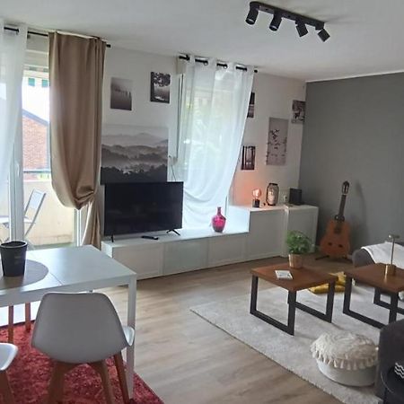 Stylish 1-Bedroom Flat With Beautiful Terrace , For A Cosy Retreat Strasbourg Kültér fotó