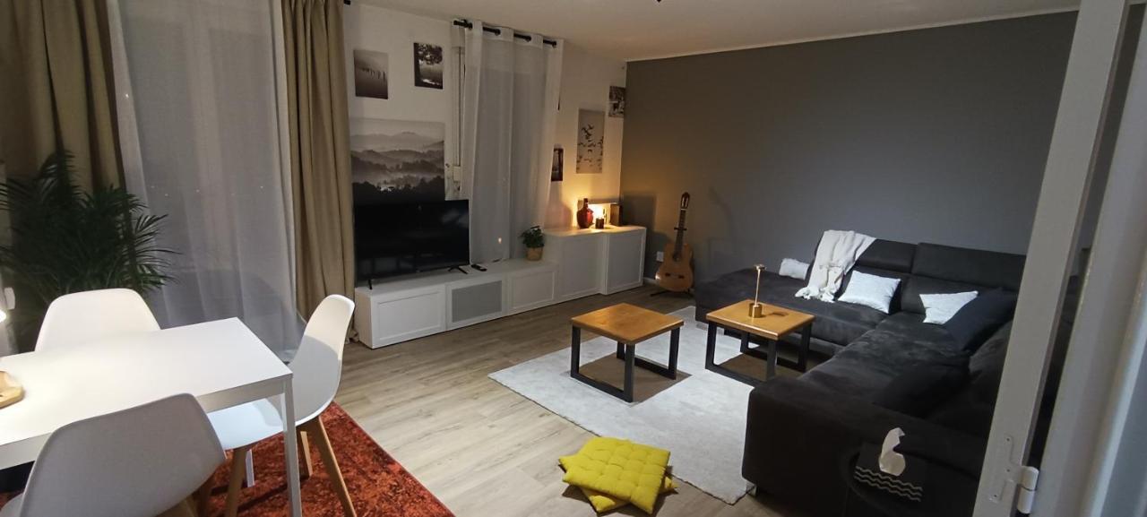 Stylish 1-Bedroom Flat With Beautiful Terrace , For A Cosy Retreat Strasbourg Kültér fotó