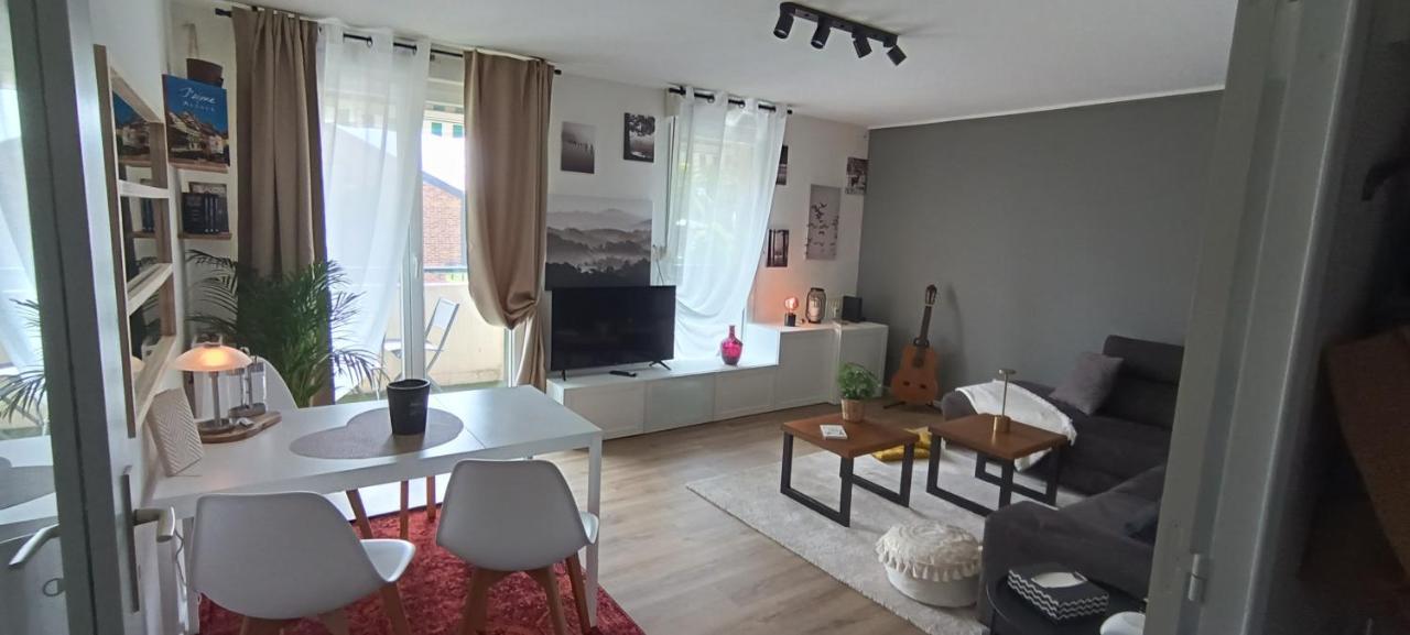 Stylish 1-Bedroom Flat With Beautiful Terrace , For A Cosy Retreat Strasbourg Kültér fotó