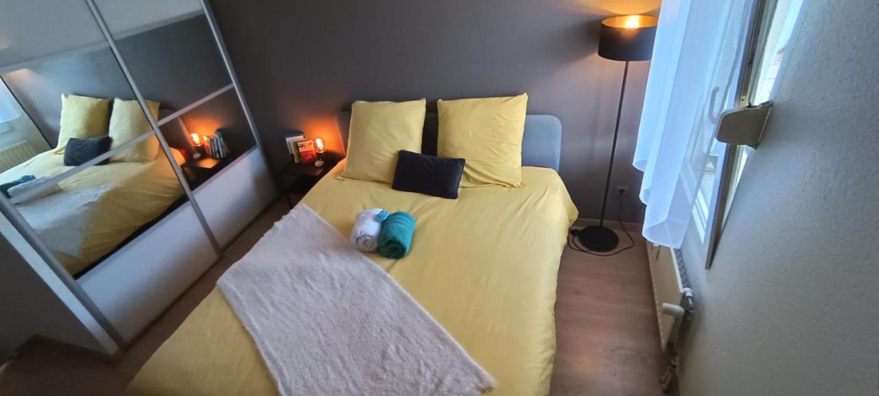 Stylish 1-Bedroom Flat With Beautiful Terrace , For A Cosy Retreat Strasbourg Kültér fotó