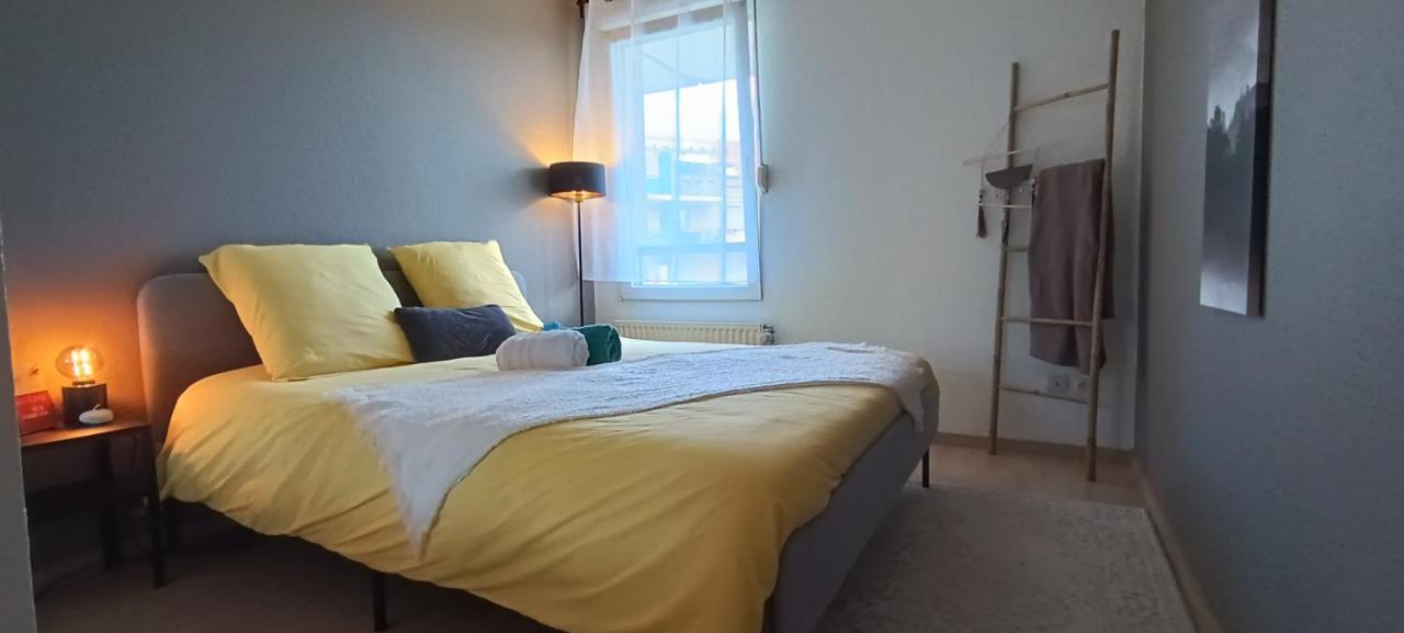 Stylish 1-Bedroom Flat With Beautiful Terrace , For A Cosy Retreat Strasbourg Kültér fotó